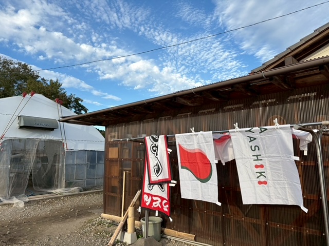 寒風にさらされて!!!