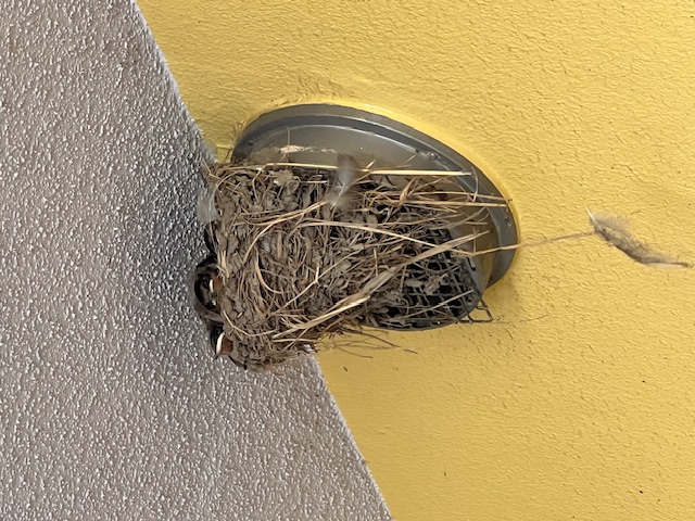 あっという間に!!!