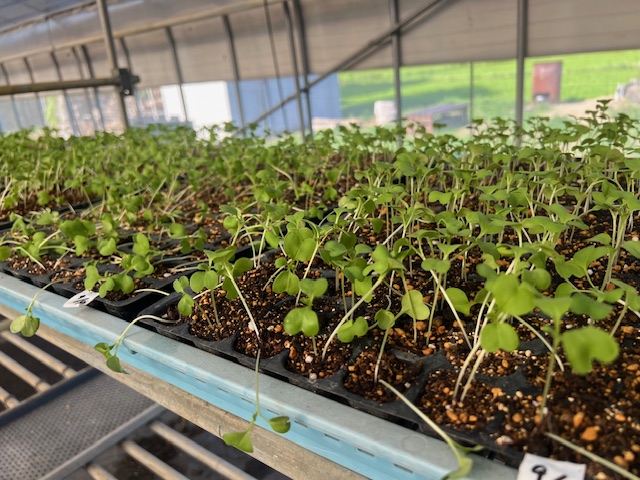 勢いがありすぎて・・・