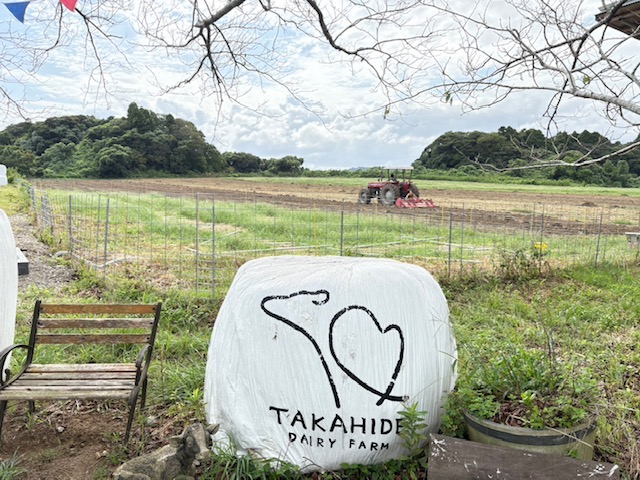 育苗と並行して！！！