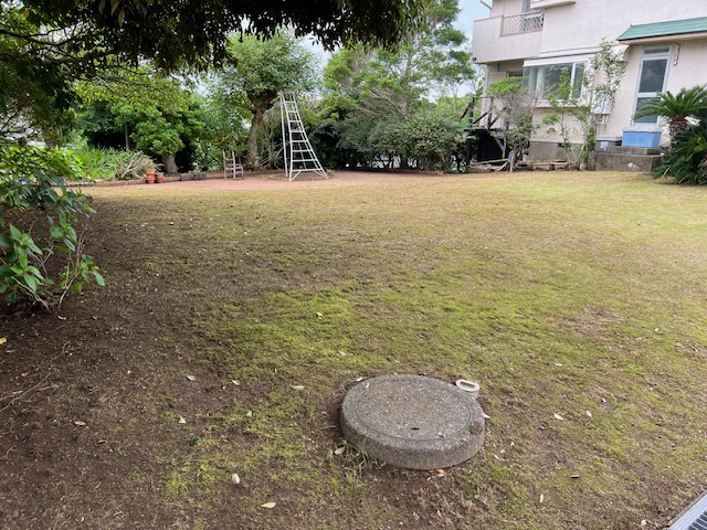 いつもの！！！