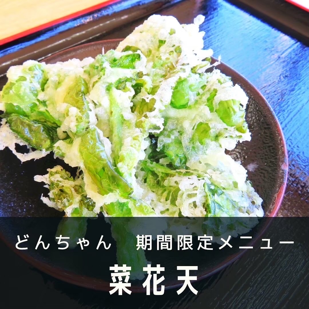 菜花天再登場♪