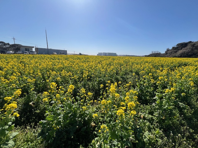 勢いは凄く！！！