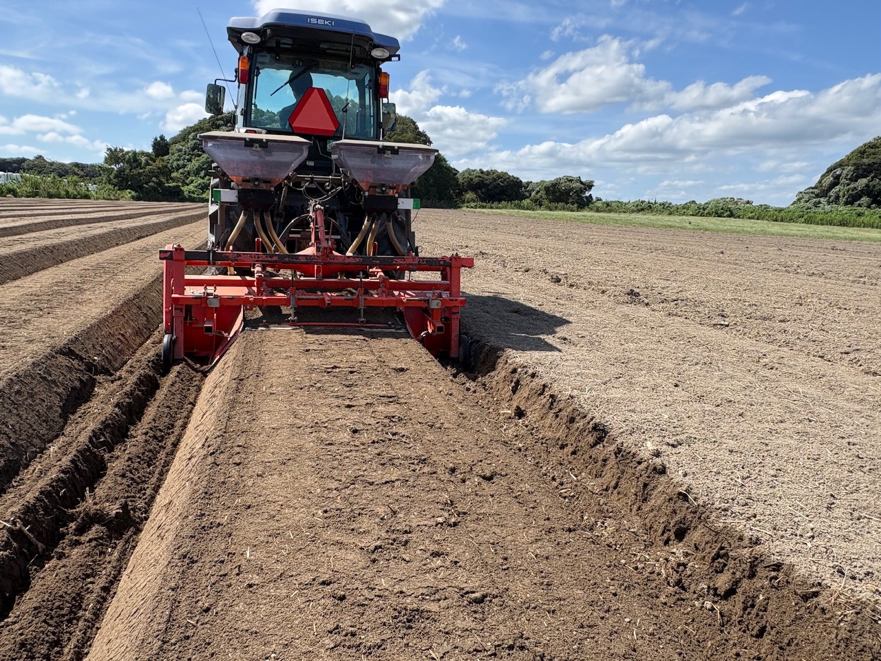 菜花project season7