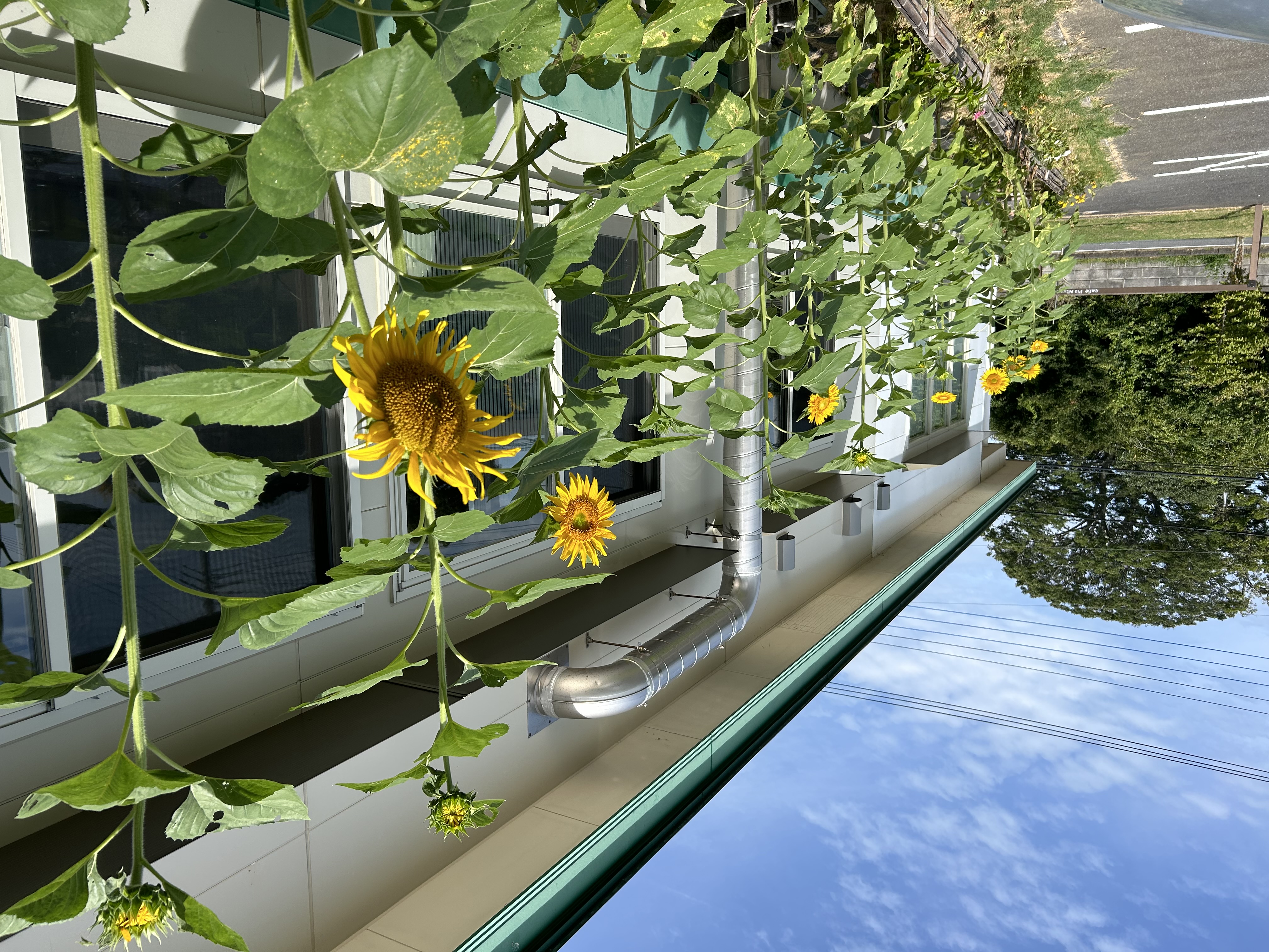 間に合いましたー