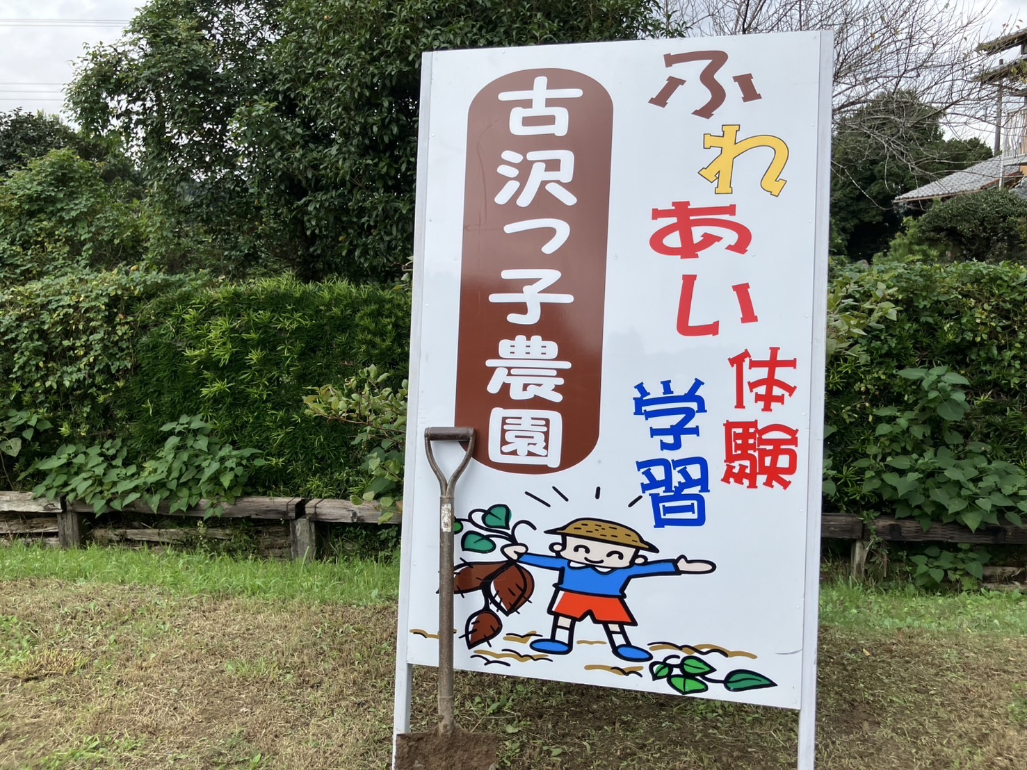 ふれあい体験学習