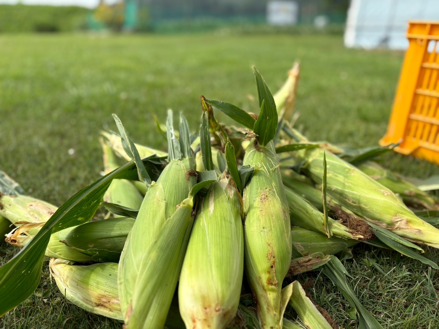 余すことなく!!!
