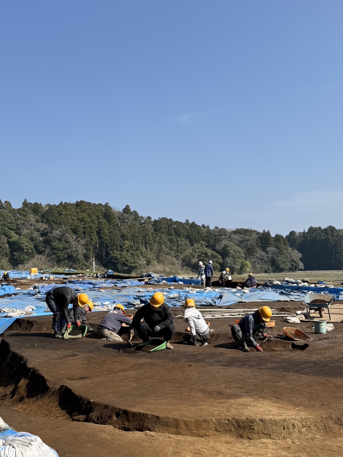 新たな発見が！！！