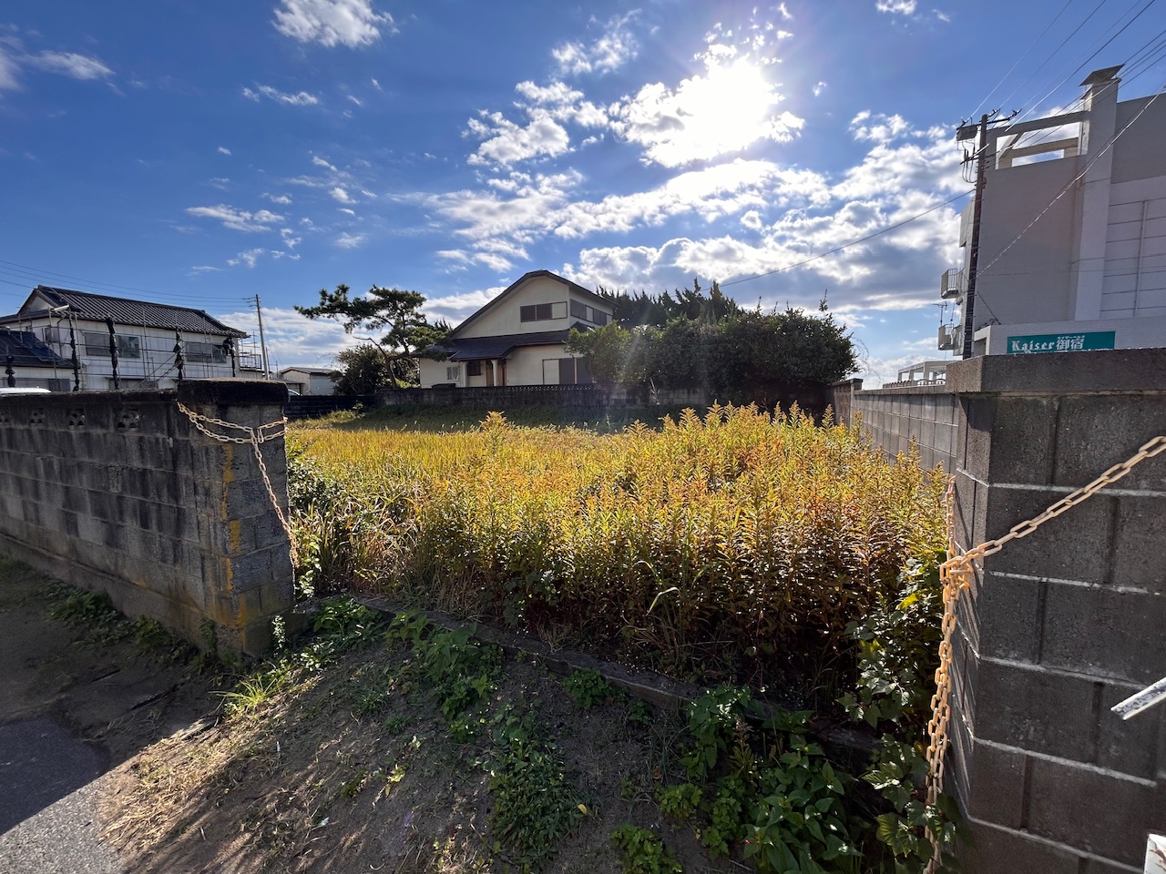 綺麗になったけど…
