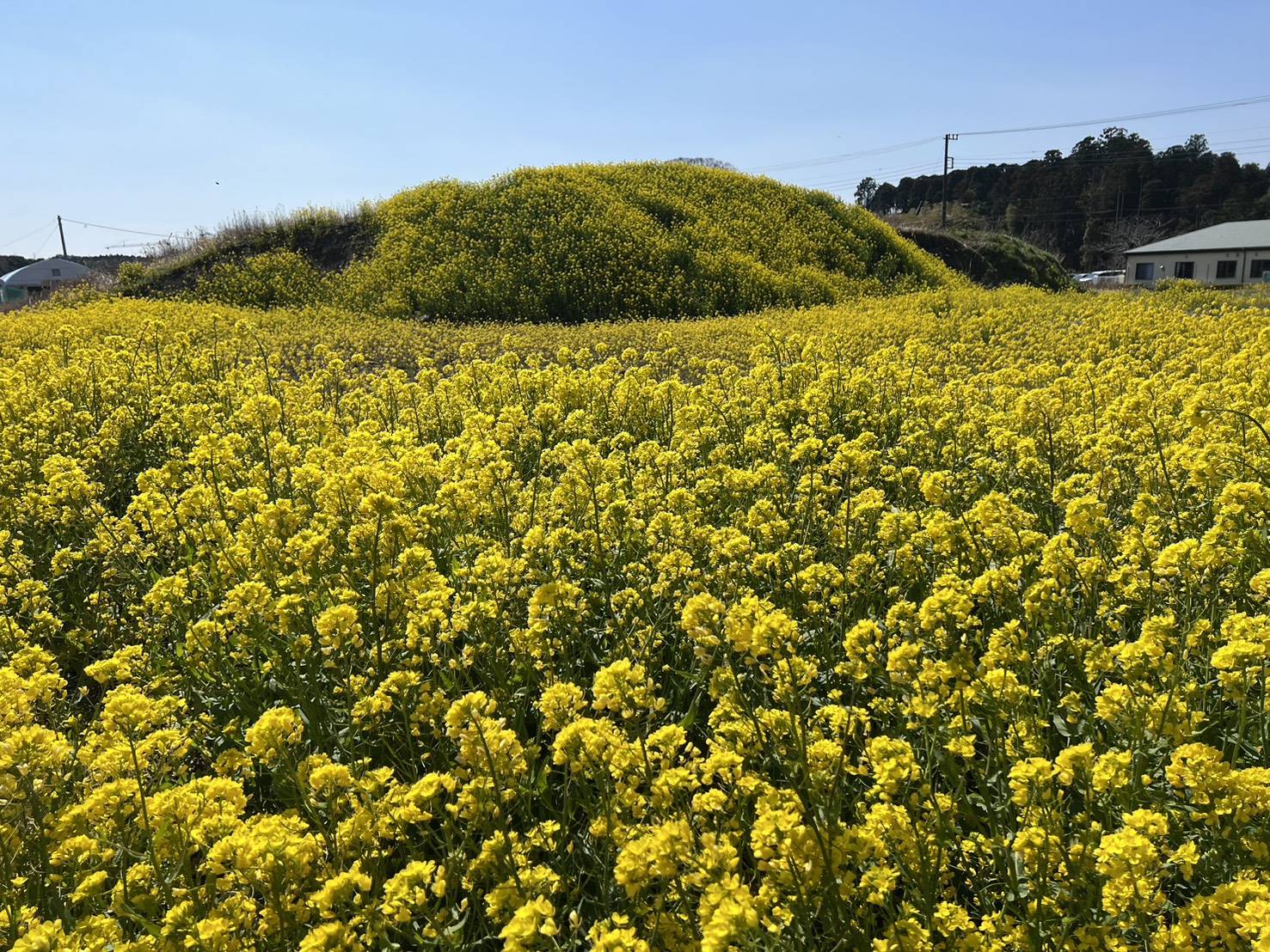 新たな映えスポット！！！