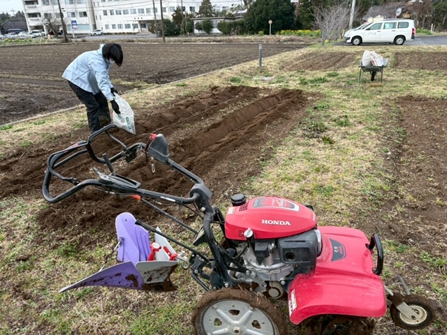 植え付け！！！