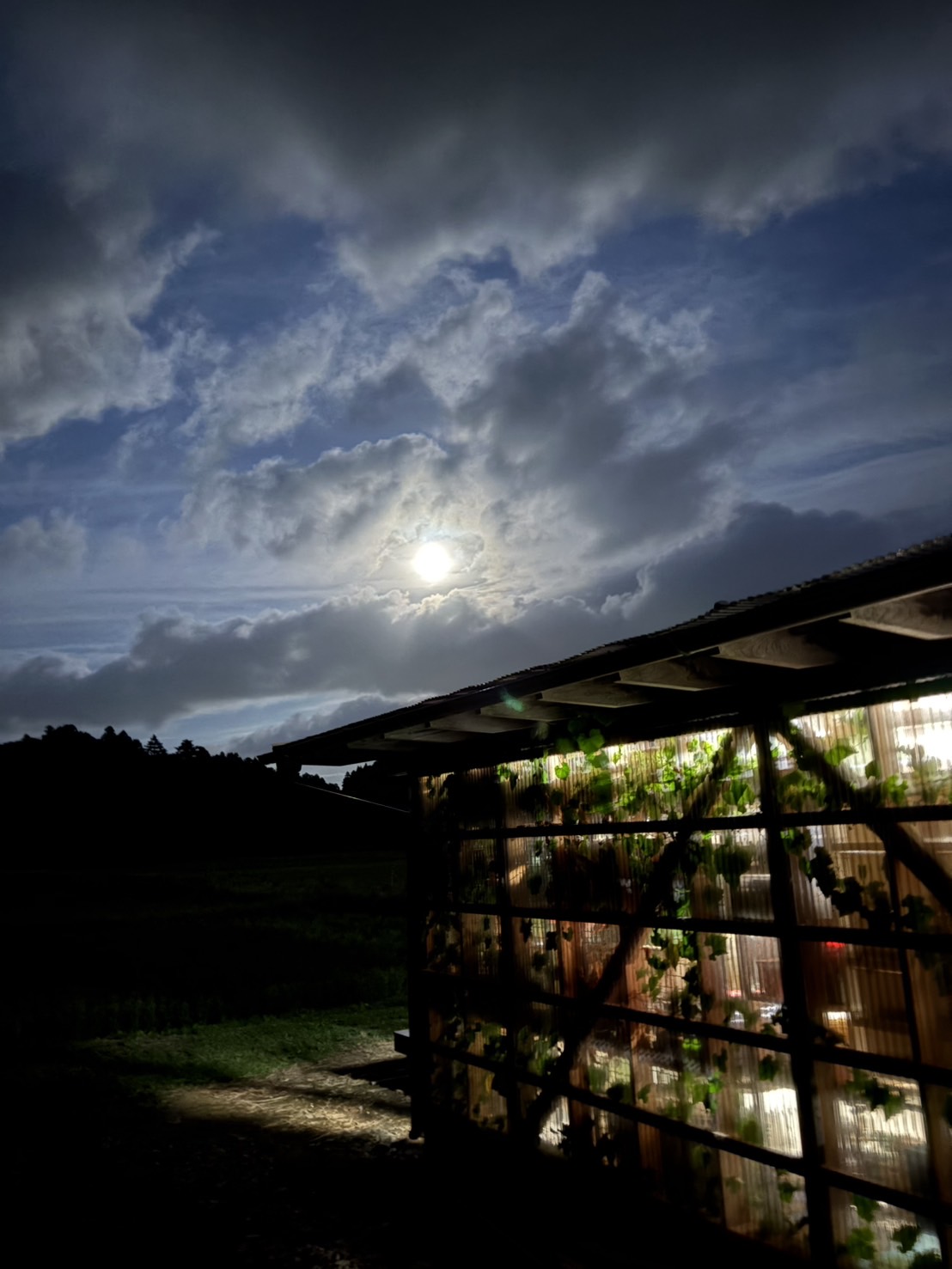 中秋の・・・!!!