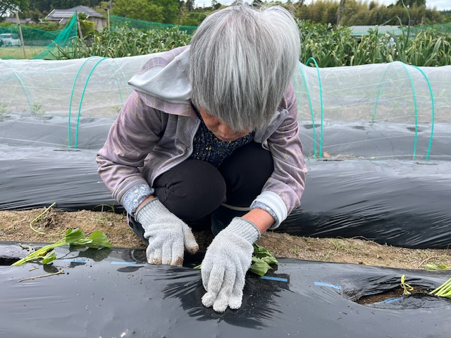 凄く甘い！！