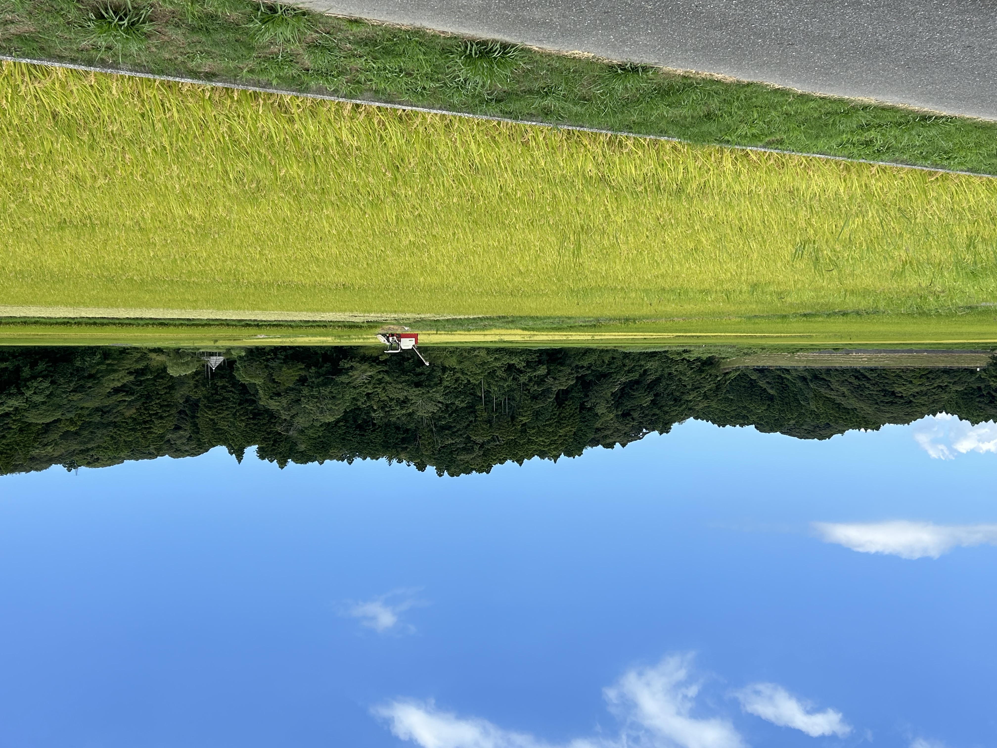 いつもの景色