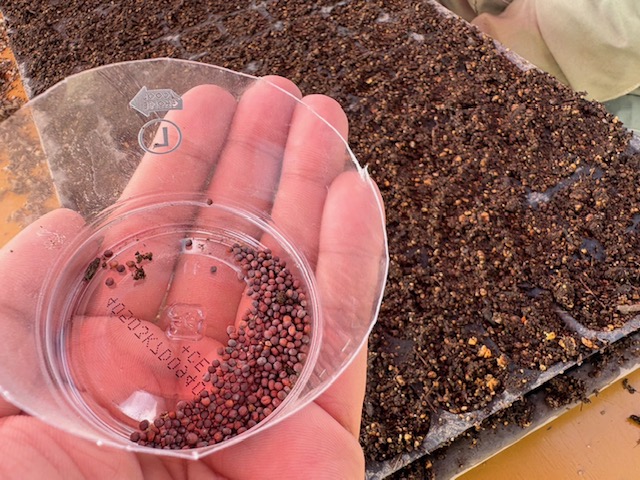 新兵器投入！！！