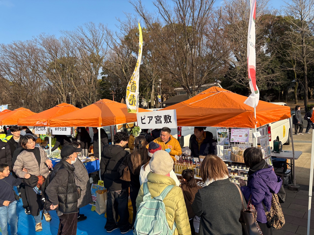 ライブ中継