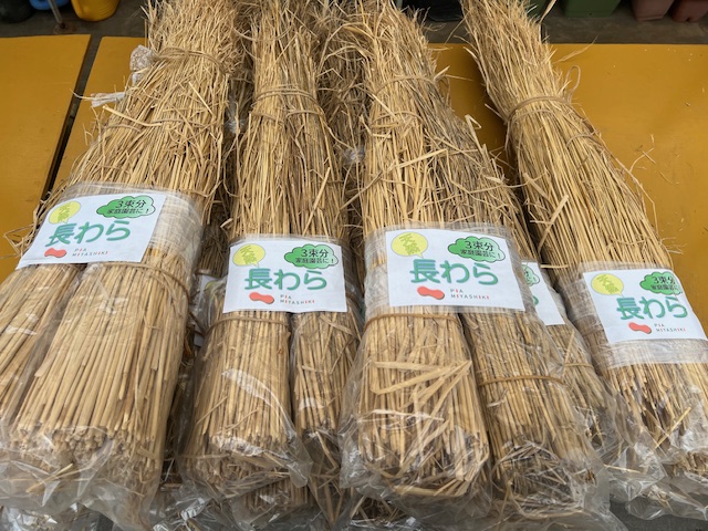 畑のお供に！！！