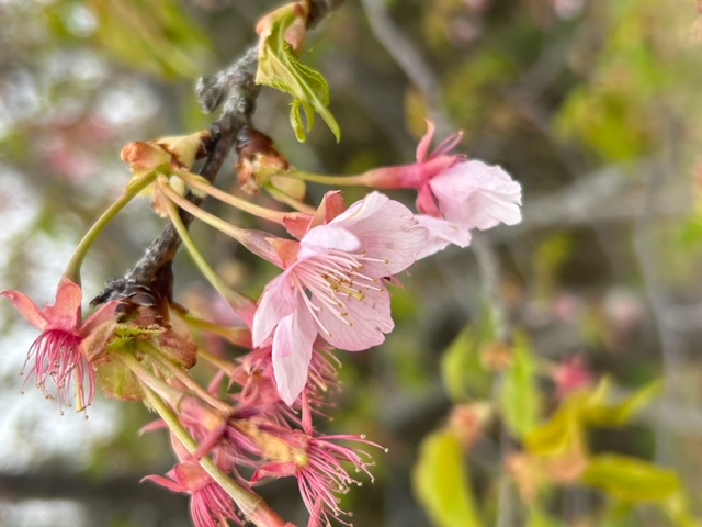 啓蟄も過ぎ！！！