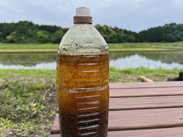 自家製の！！！