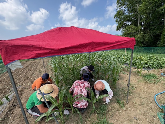 これで大丈夫!!!