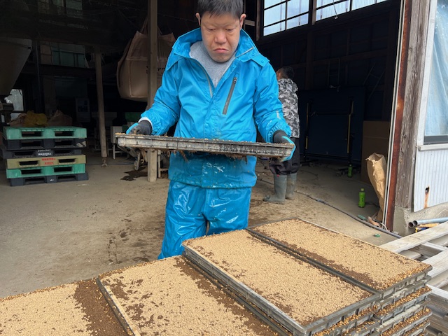 作業でも春を！！！