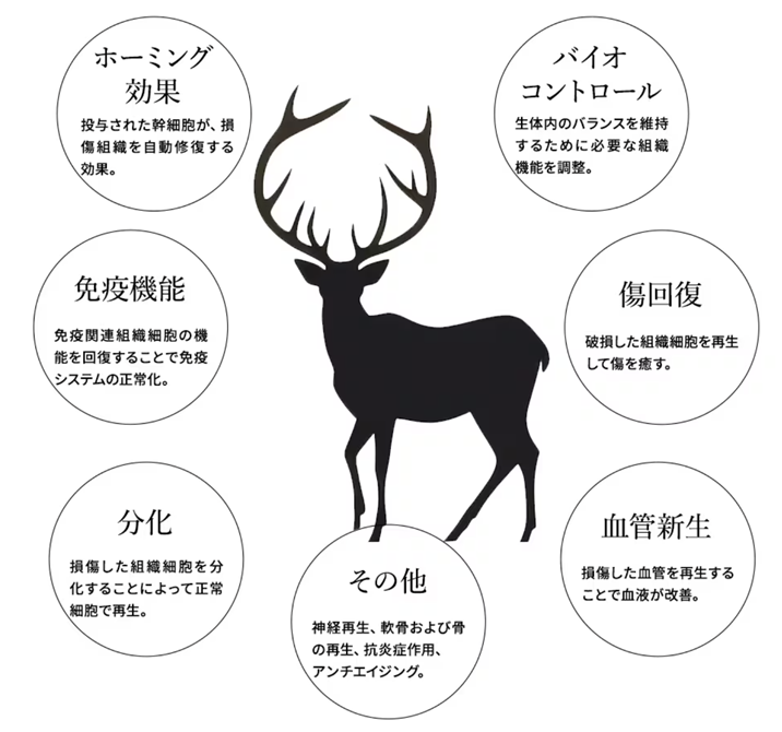 鹿プラセンタとは