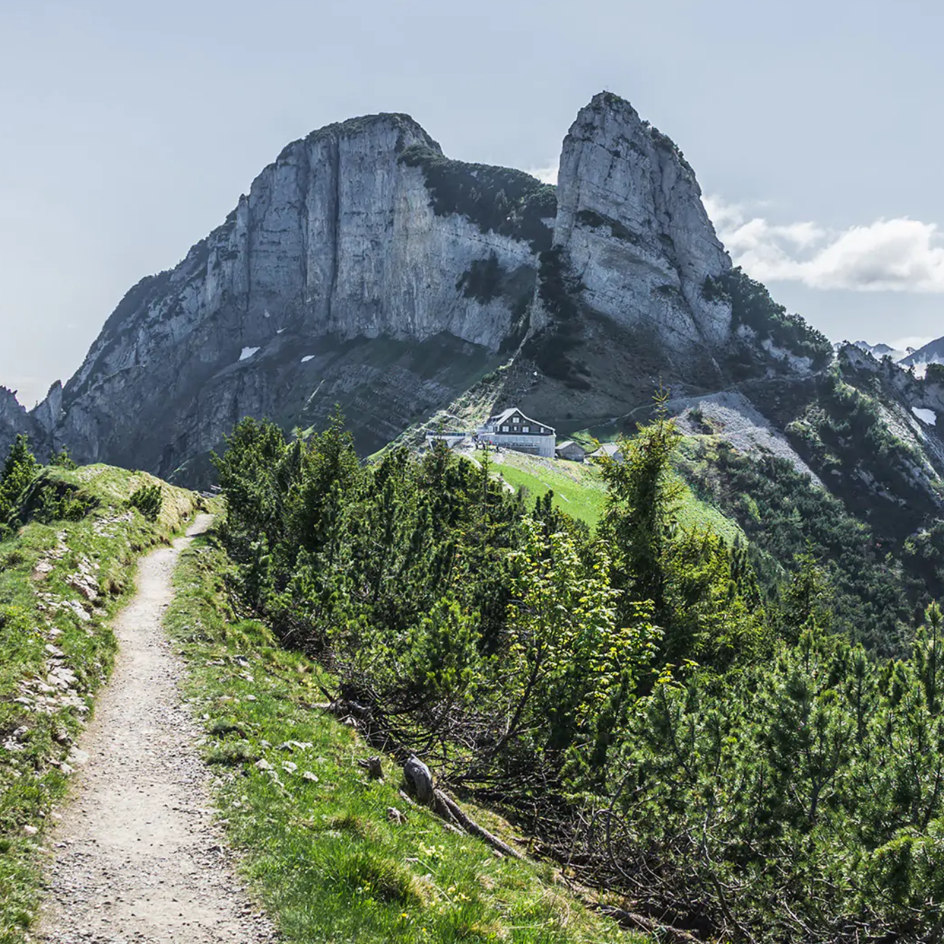 スイスの山あいから届く、花の贈り物〈8ブルーメン〉