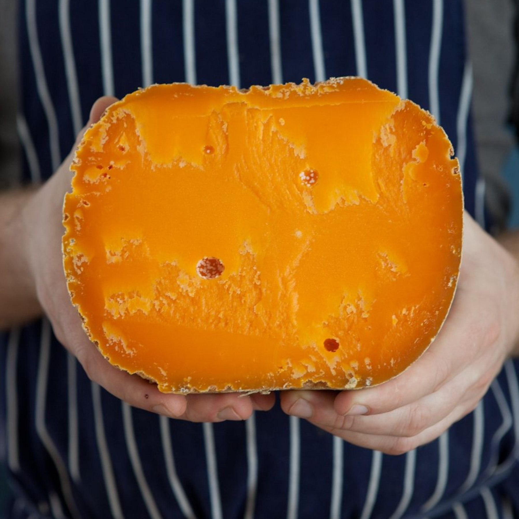 ミモレットとは？12ヶ月・18ヶ月・22ヶ月の違いを専門店がわかりやすく解説