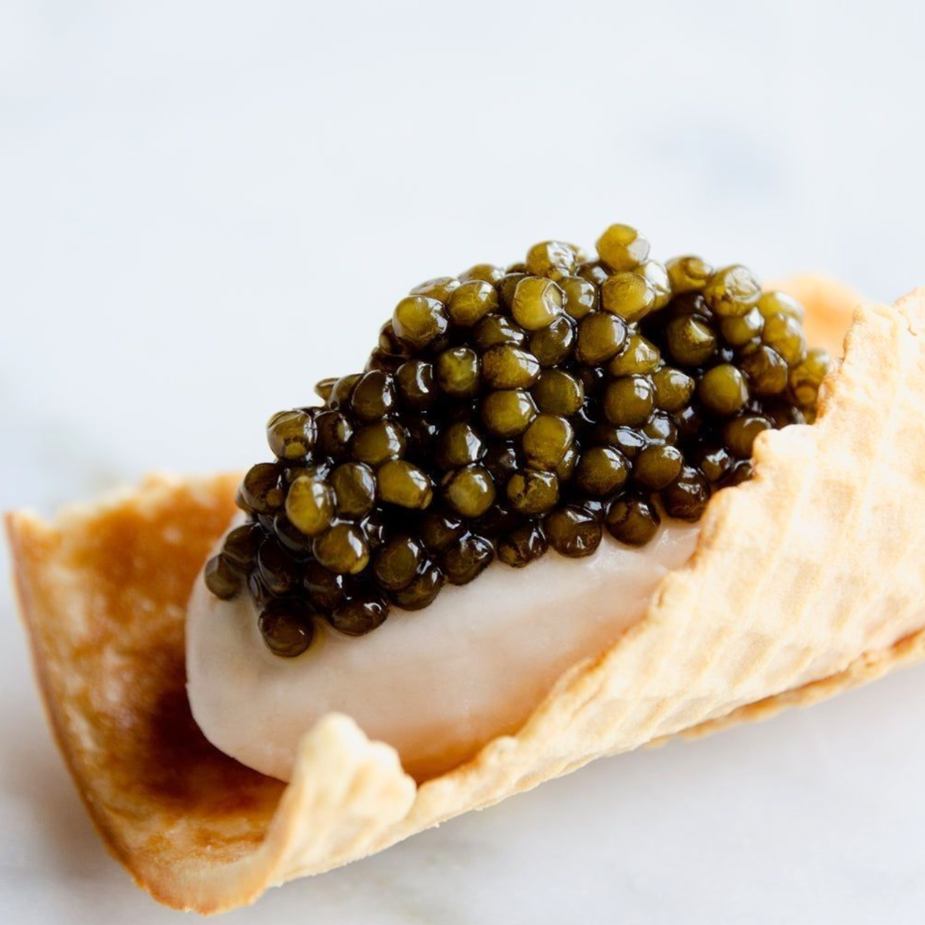 CITESとは?キャビアと自然を守る国際ルール