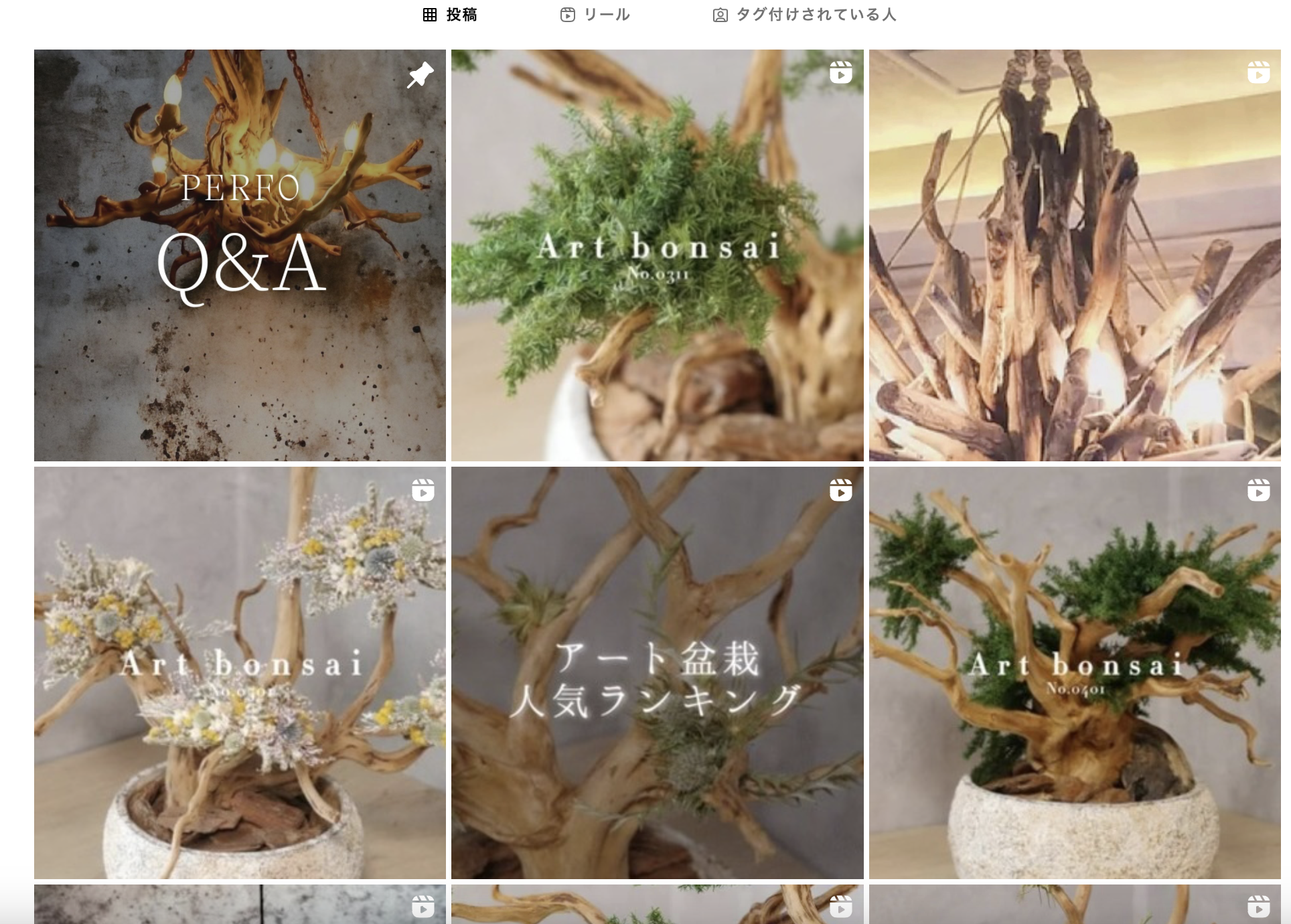 インスタ/TikTok/X やってます♪