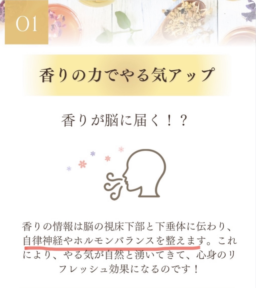 お掃除コース　オンライン