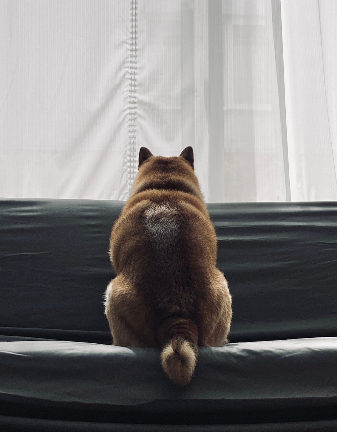 布団から出られない時