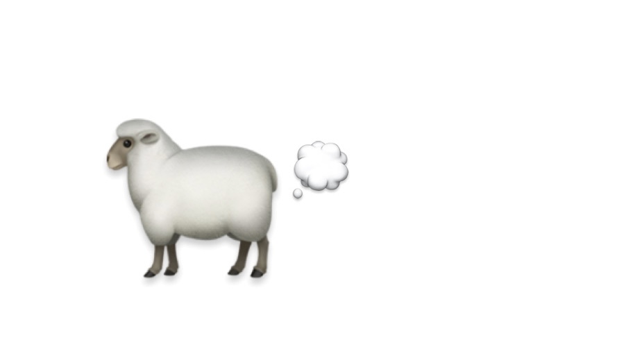 ᶠˡᵒᶜᵏ ᵒᶠ ˢʰᵉᵉᵖ💭