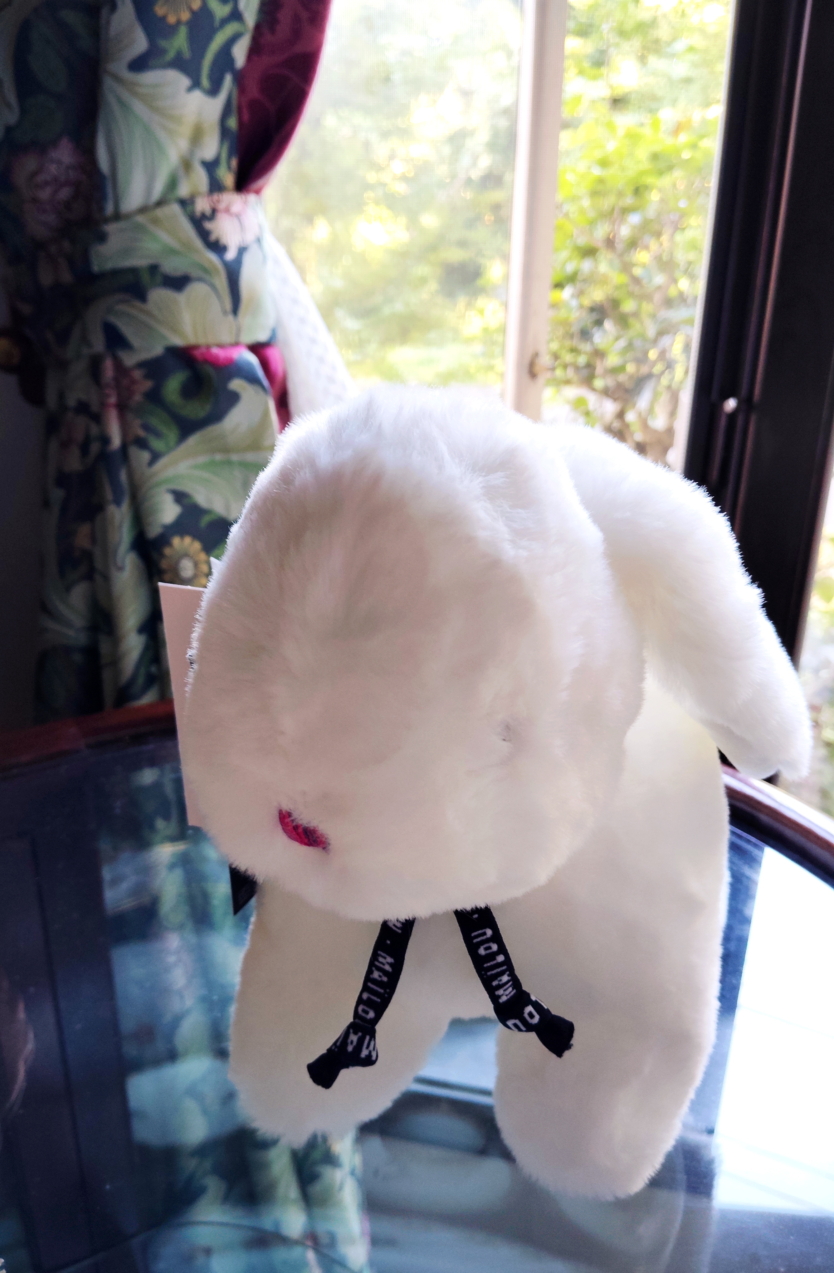白いふわふわのうさぎ