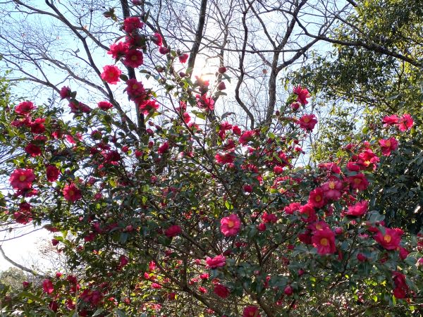 あらためて感謝