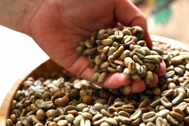 コーヒーの精製方法(ウォッシュド・ナチュラル・ハニー)の違い