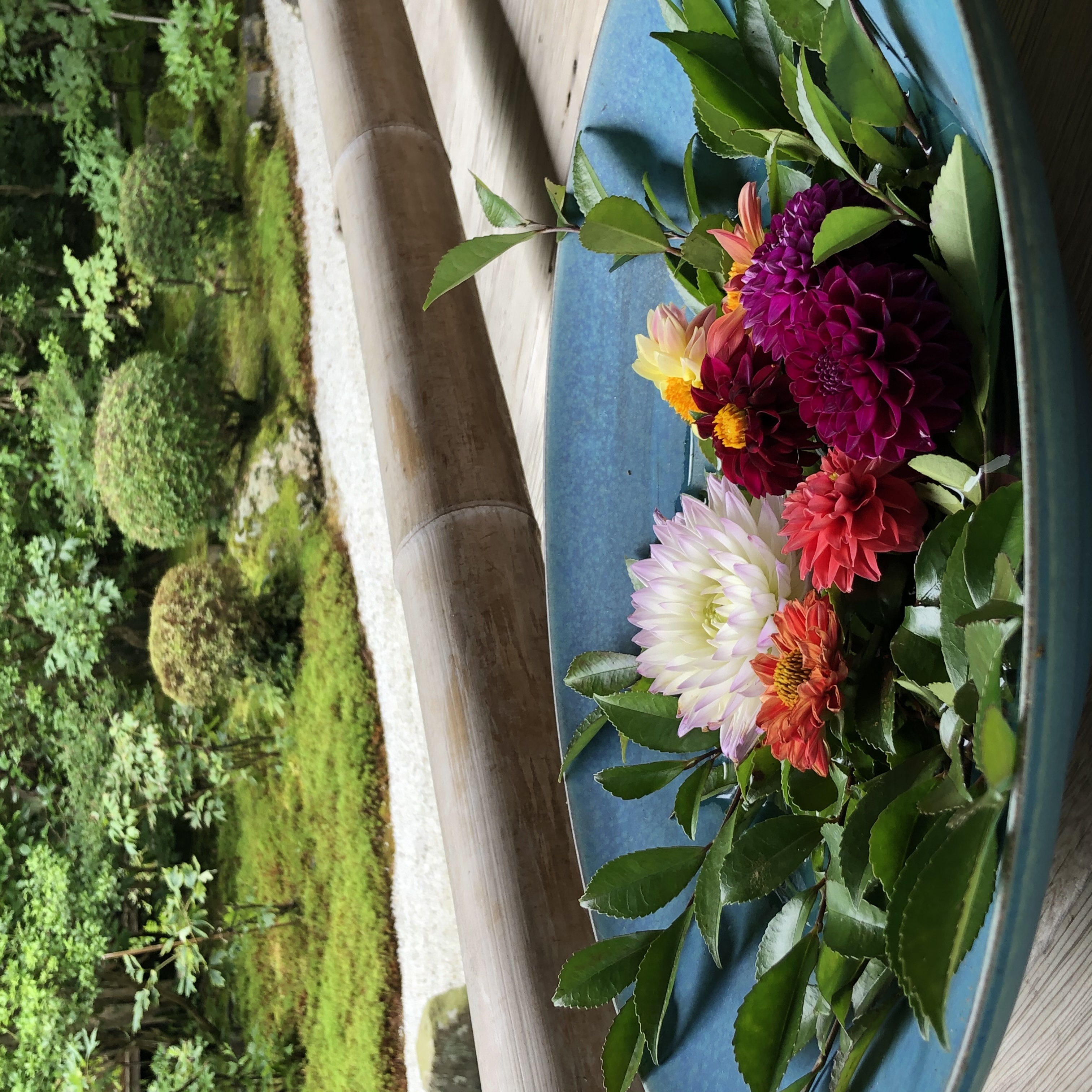 お守りプチアクション♫