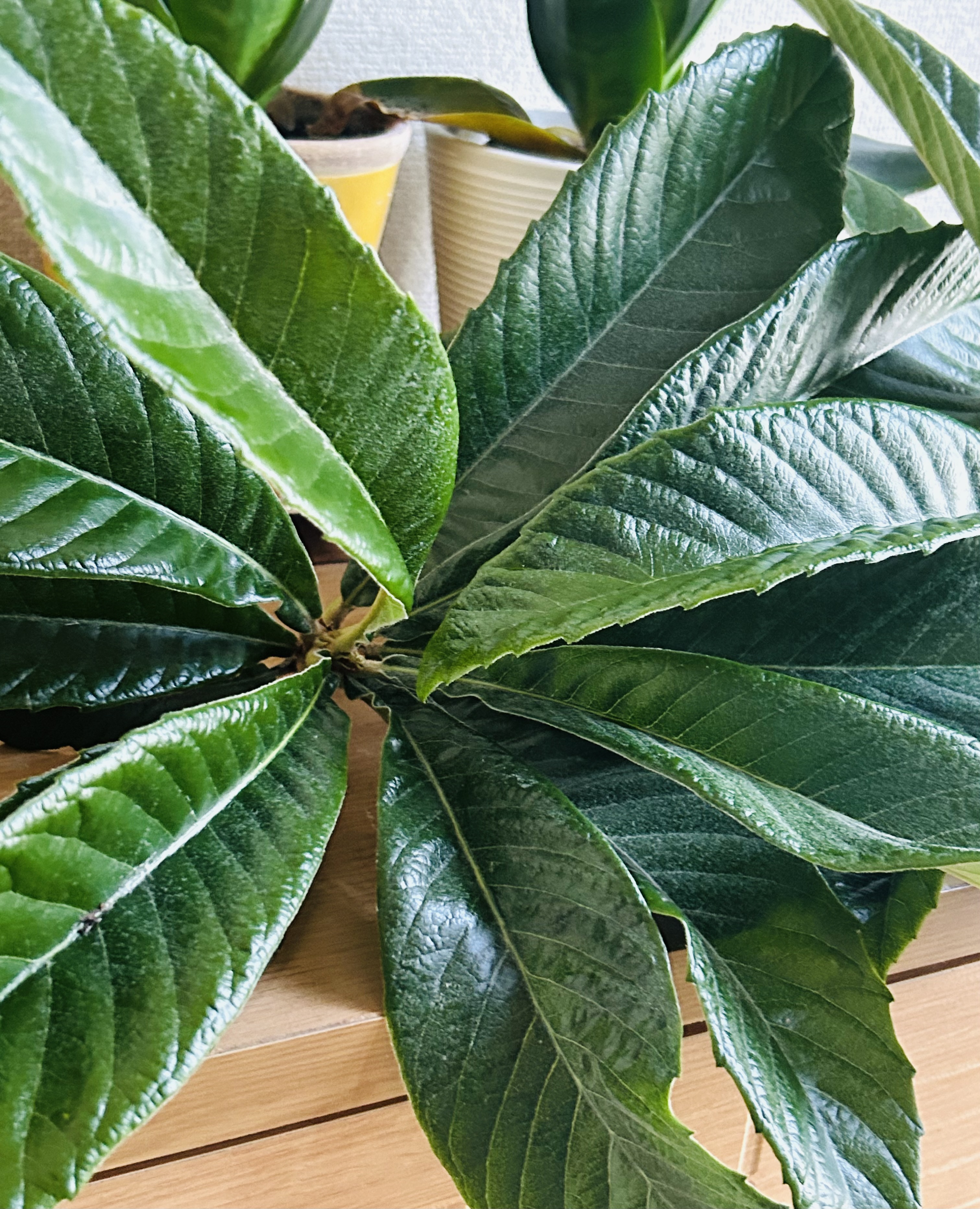 デケミおきよめとILスキンクリアでストレス解消!?