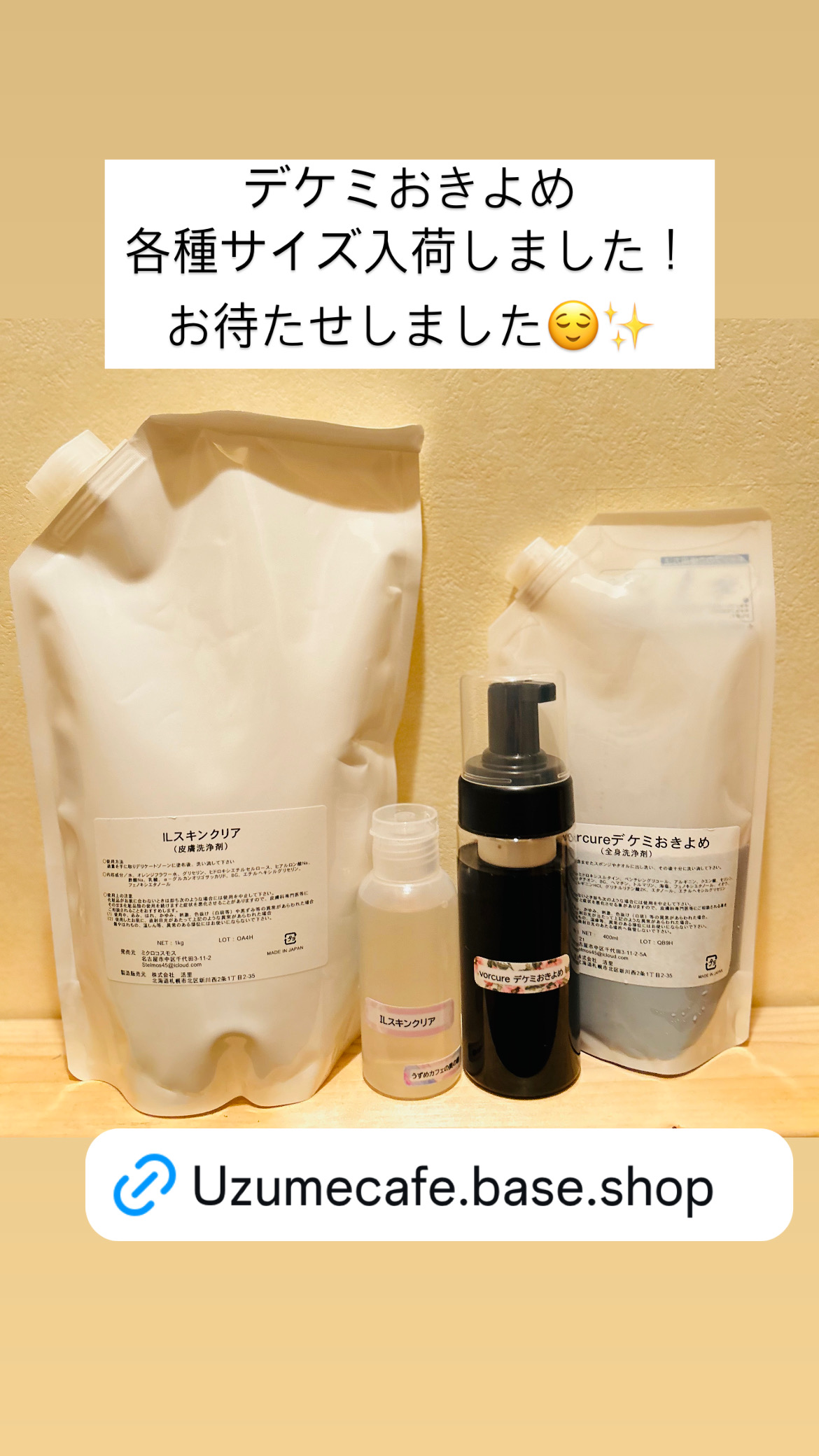 デケミおきよめ入荷しました!!