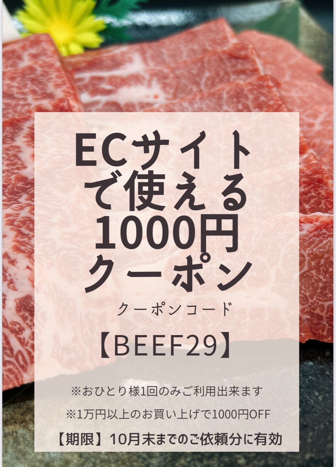 【期間限定】お得なクーポン配信中