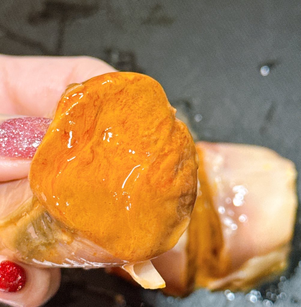 新鮮いかわたを刺身で味見。まろやか濃厚でとろける家飲みおつまみ