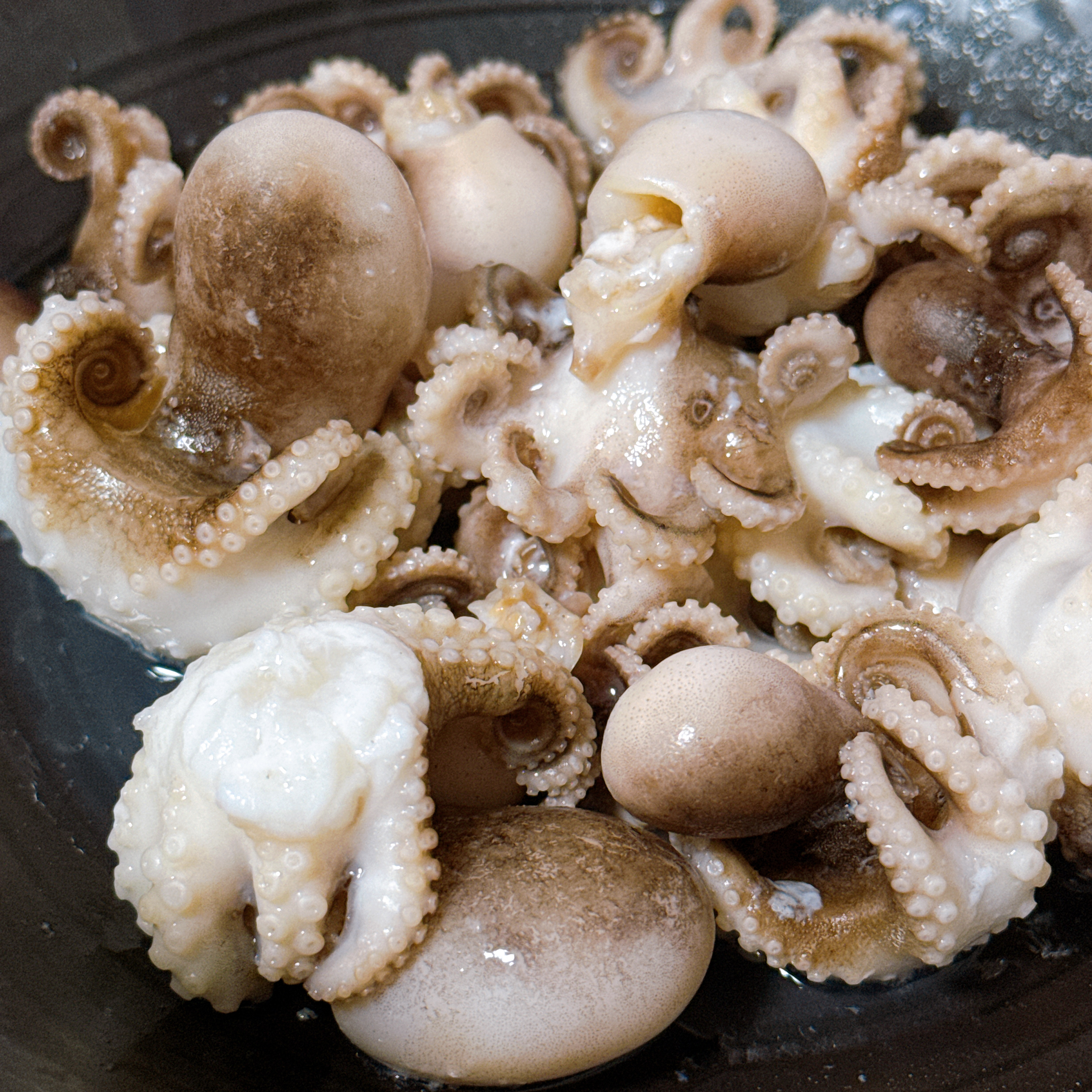 イイダコ生＆茹でで晩酌。コリコリ食感が楽しい家飲みごはん