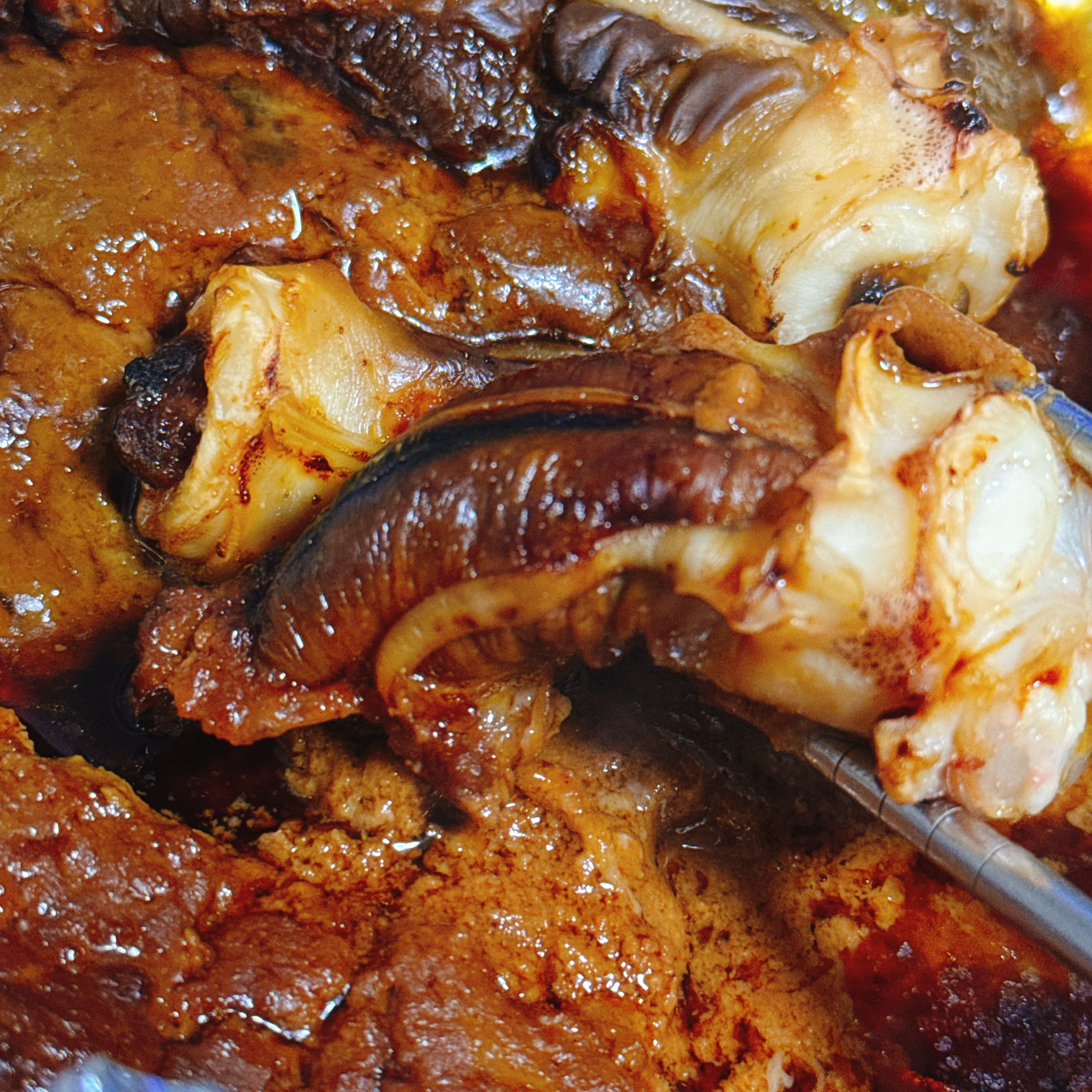 素焼きいかわたで晩酌。味付けなしでも強すぎた夜