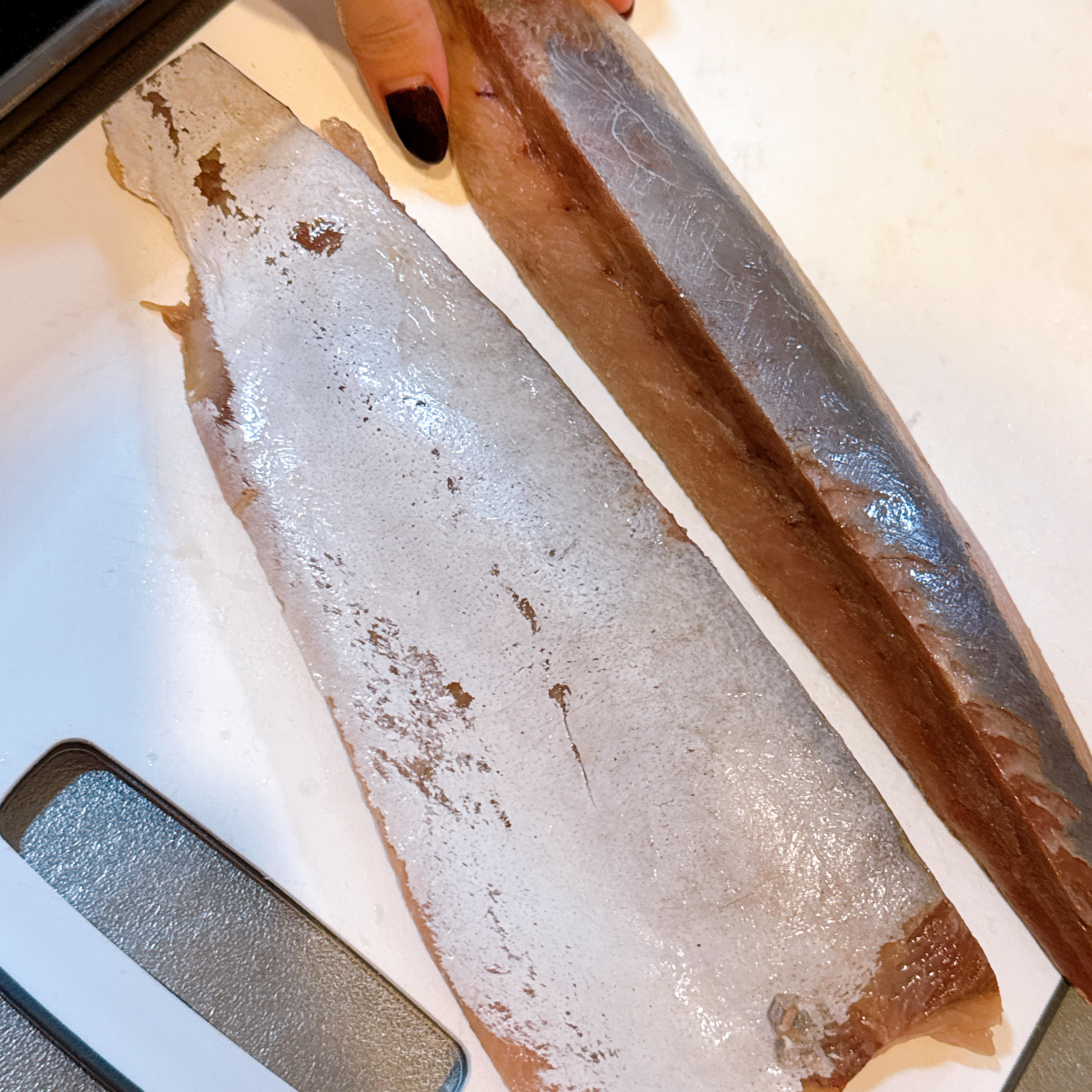 刺身用イナダをしゃぶしゃぶで実食。背中と腹で違う旨さ