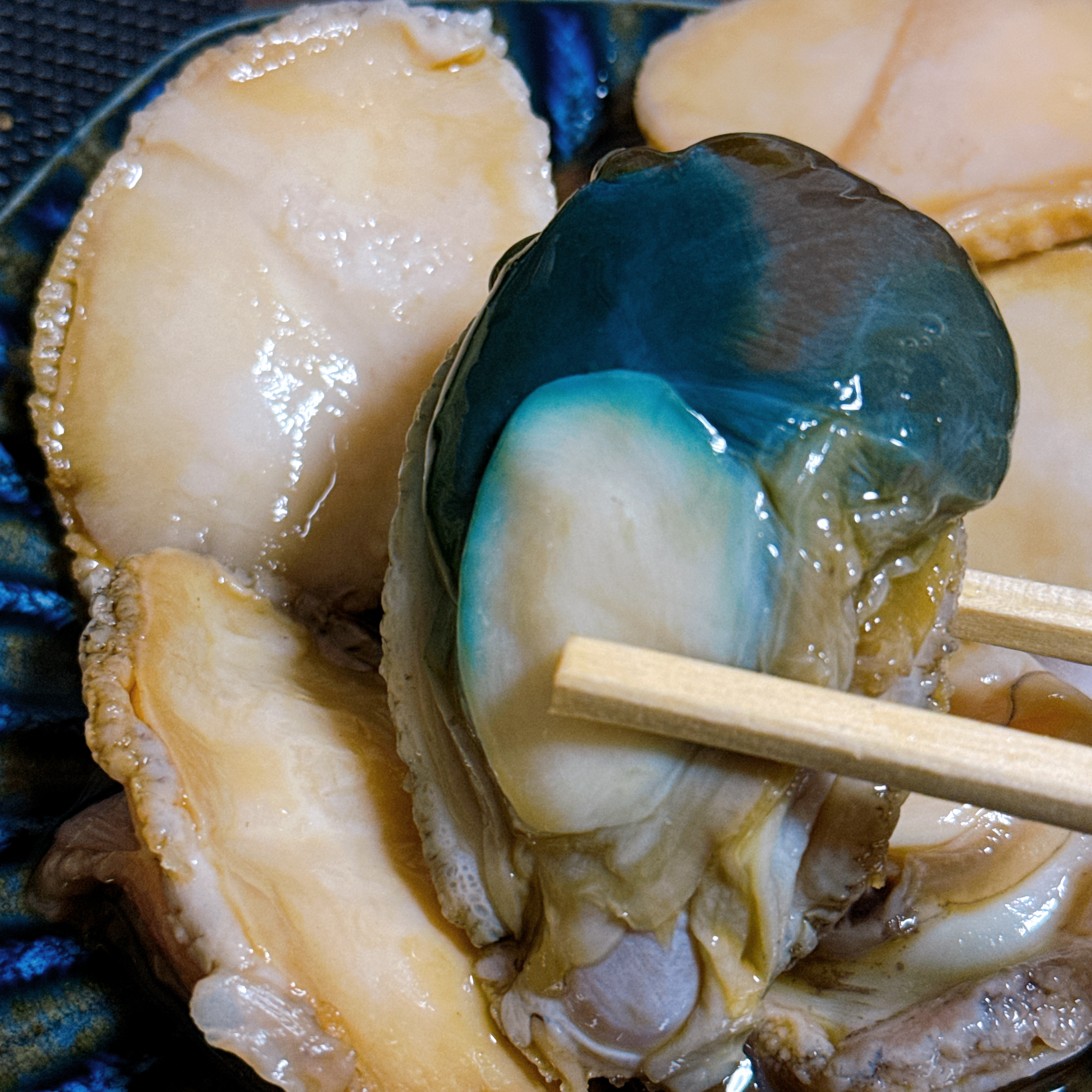 青いアワビを見つけた夜