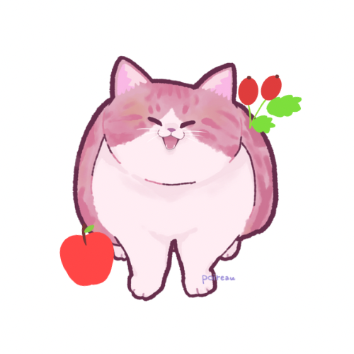 にゃんずかん　その1（ちび）