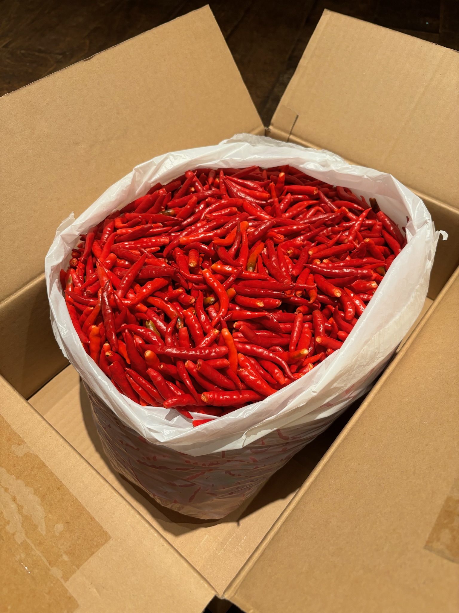 赤唐辛子入荷🌶