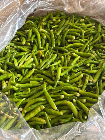 青唐辛子到着!!