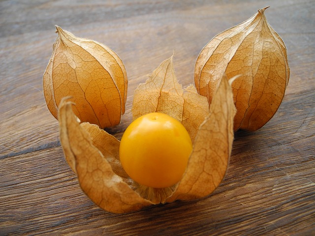 ほおずきって食べられるの？～百笑農房のほおずき栽培のきっかけや想い～