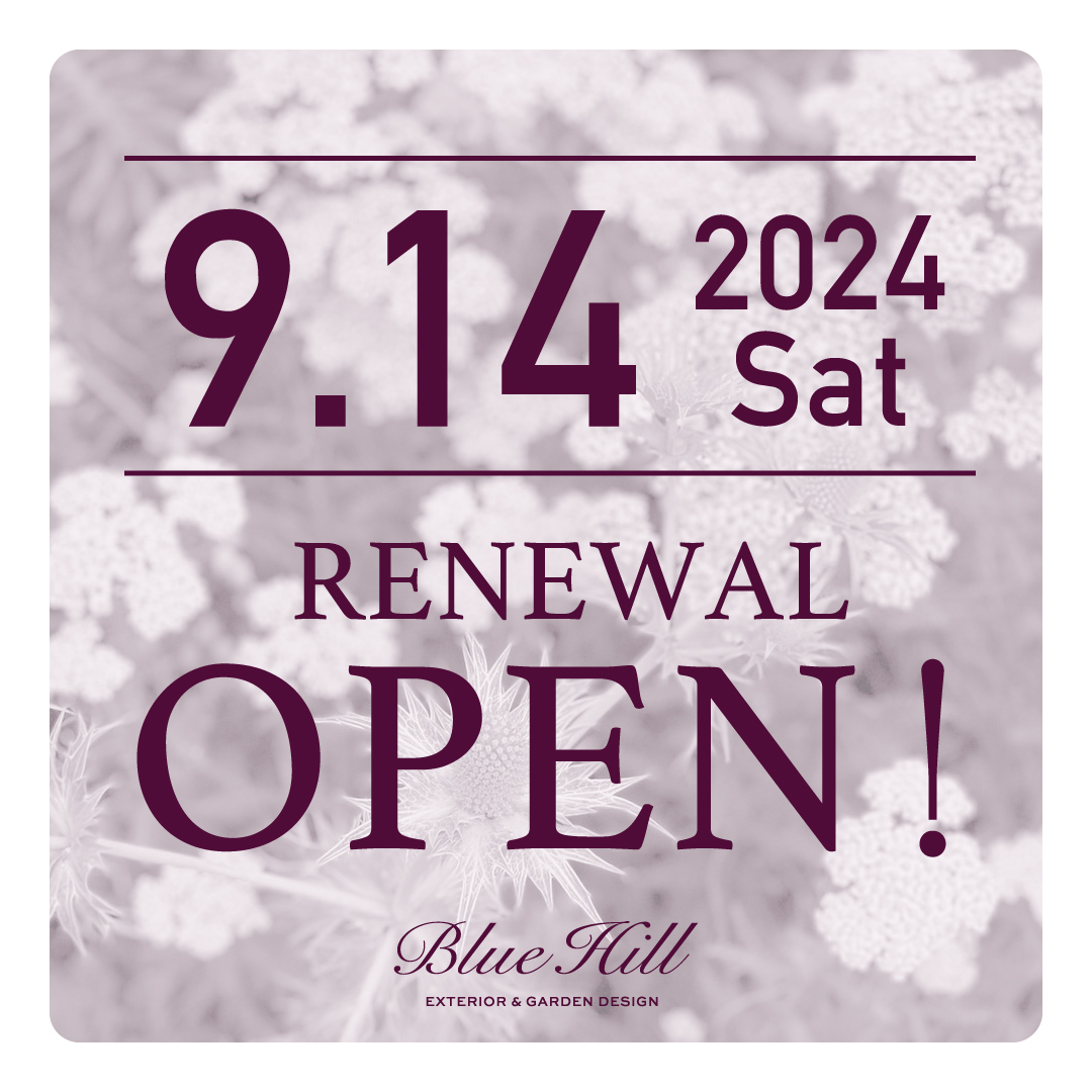 RENEWAL OPEN のお知らせ